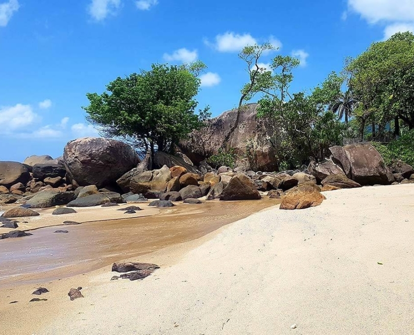 Anse Marie Laure Anse Marie Laure