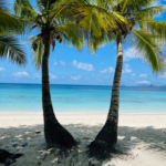 Tour des plages à Mahé 12 Tour des plages à Mahé, Seychelles, Boutique Island Tour Seychelles