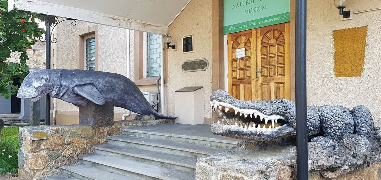 Muséum d’histoire naturelle des Seychelles Activités au Muséum d'histoire naturelle des Seychelles