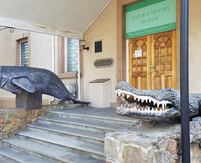 Muséum d’histoire naturelle des Seychelles Activités au Muséum d'histoire naturelle des Seychelles
