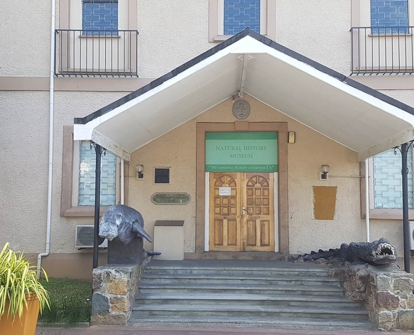 Muséum d'histoire naturelle des Seychelles Muséum d'histoire naturelle des Seychelles