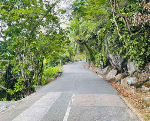 Excursion dans le sud des Seychelles à bord de l'un de nos véhicules Excursion dans le sud des Seychelles à bord de l'un de nos véhicules
