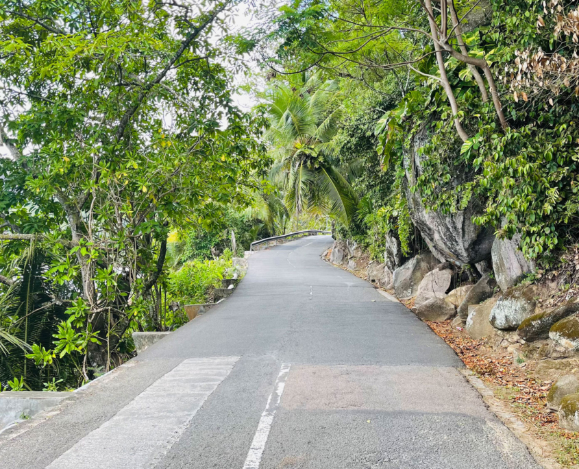 Excursion dans le sud des Seychelles à bord de l'un de nos véhicules Excursion dans le sud des Seychelles à bord de l'un de nos véhicules