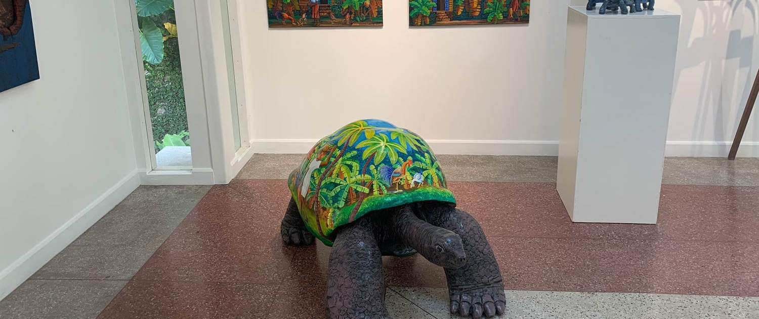Tortue de George Camille Tortue de George Camille - Art et Artisanat