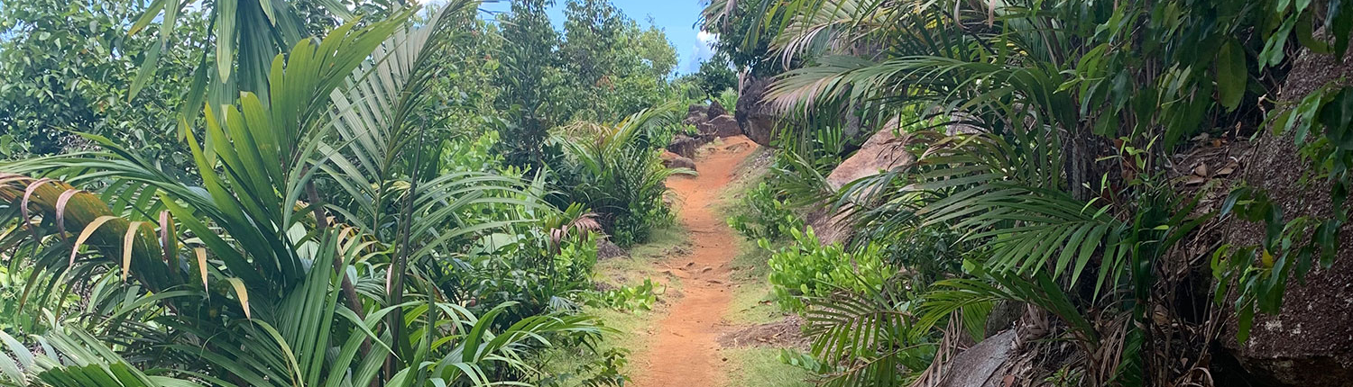 Anse Major Trails Anse Major Trails