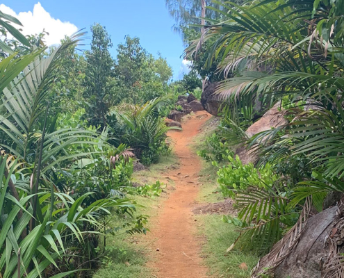 Anse Major Trails Anse Major Trails