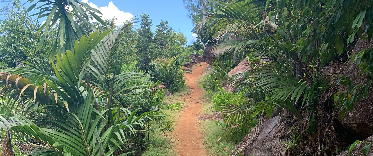 Anse Major Trails