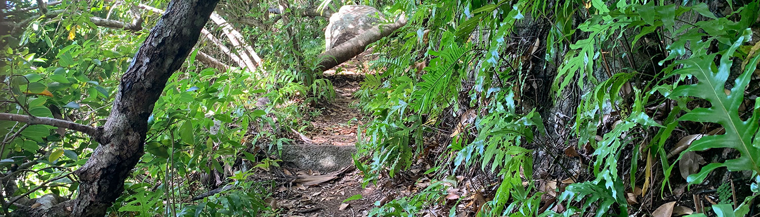 Trail to Anse Capucin, Seychelles Trail to Anse Capucin, Seychelles